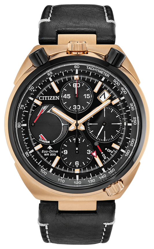 AV0073-08E Citizen Watch
