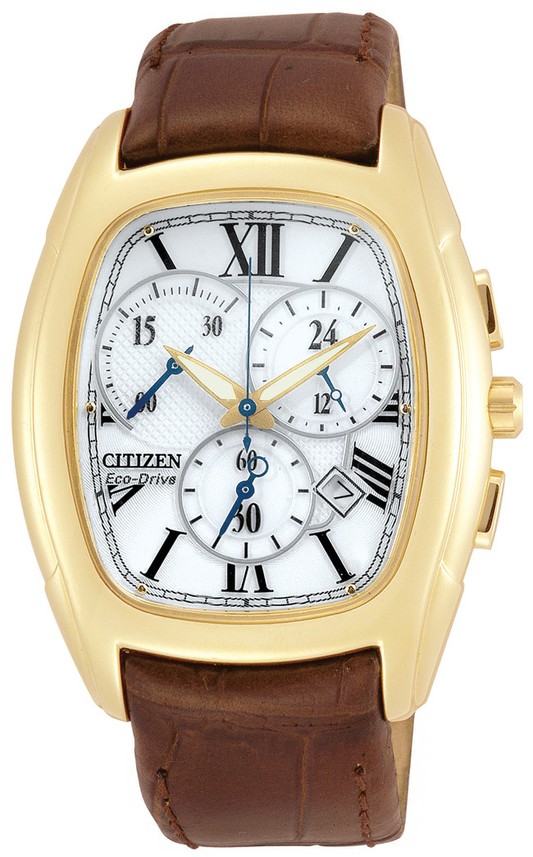 AT1012-00A Citizen Watch