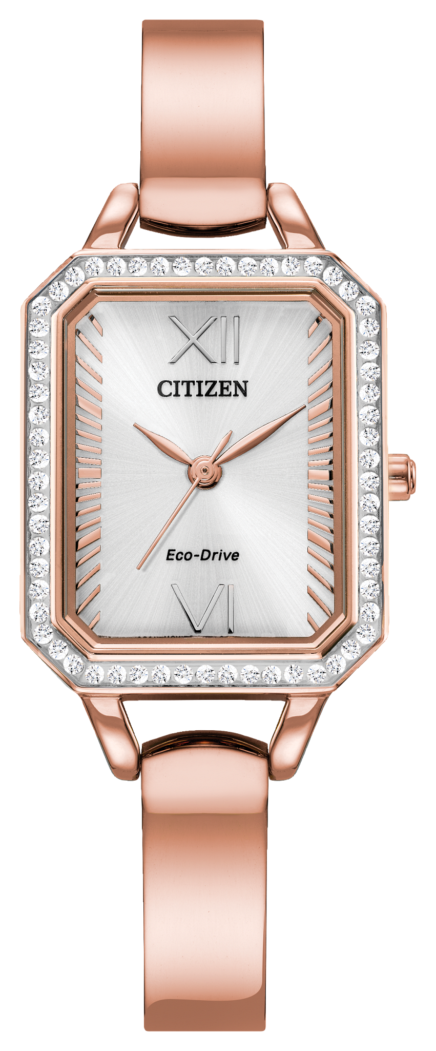 EM0983-51A Citizen Watch