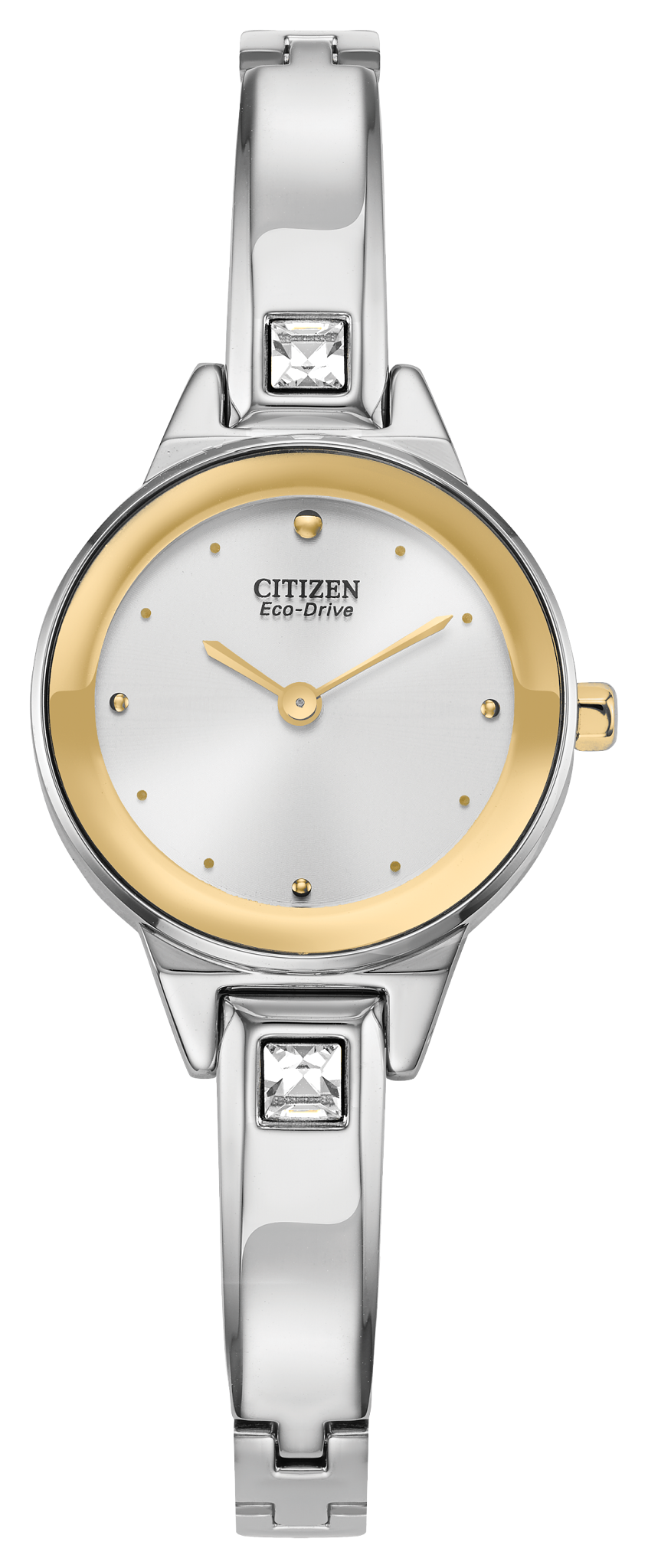 EX1324-53A Citizen Watch