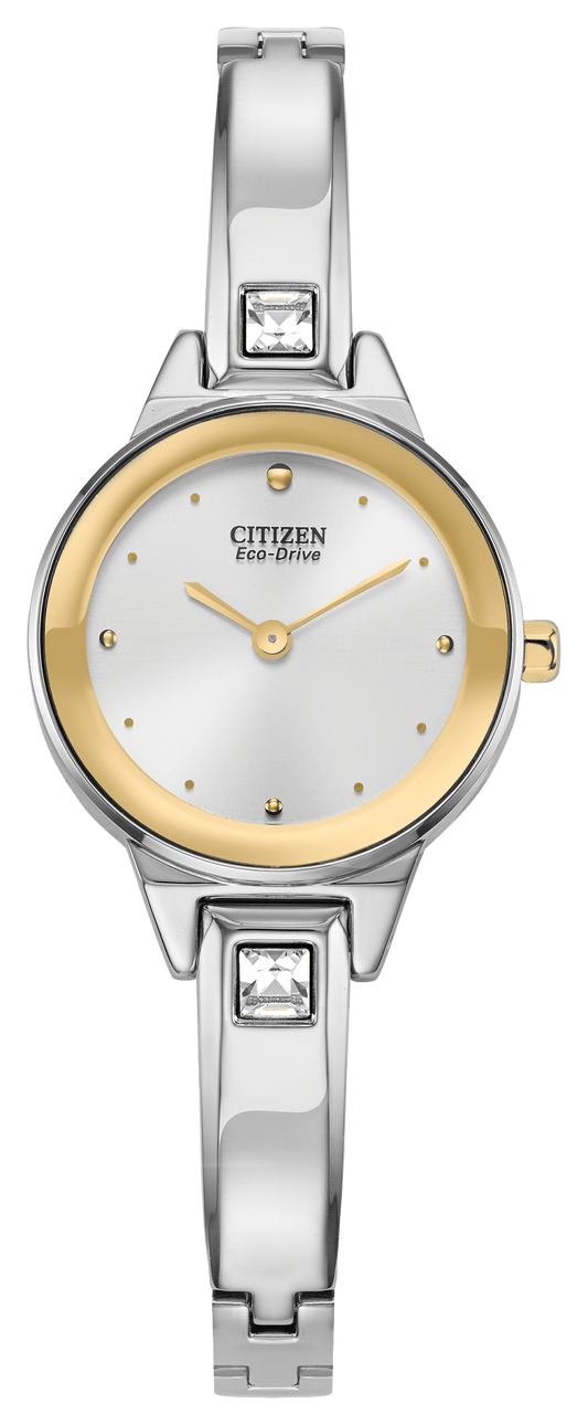EX1324-53A Citizen Watch