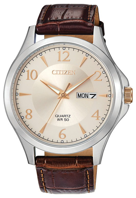 BF2009-29X Citizen Watch