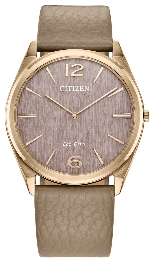 AR3123-00X Citizen Watch