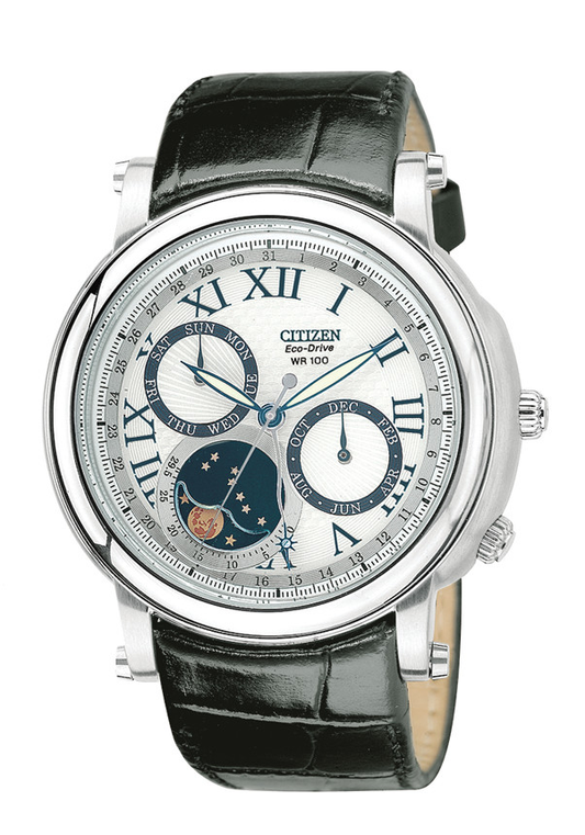 AP1010-00A Citizen Watch