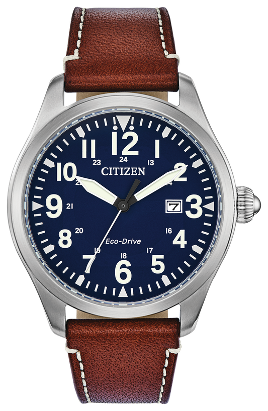 BM6838-17L Citizen Watch
