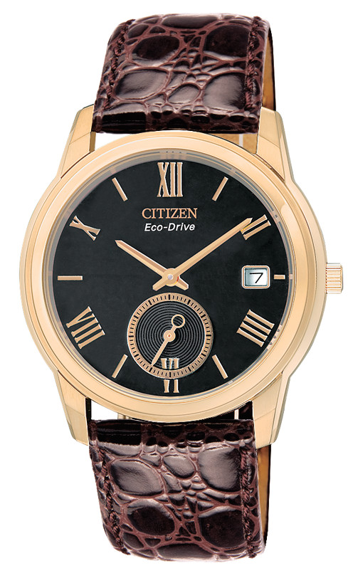 BV1003-01E Citizen Watch