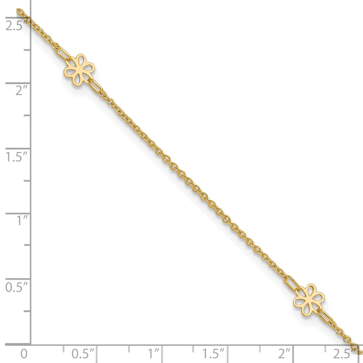 ANK306-10