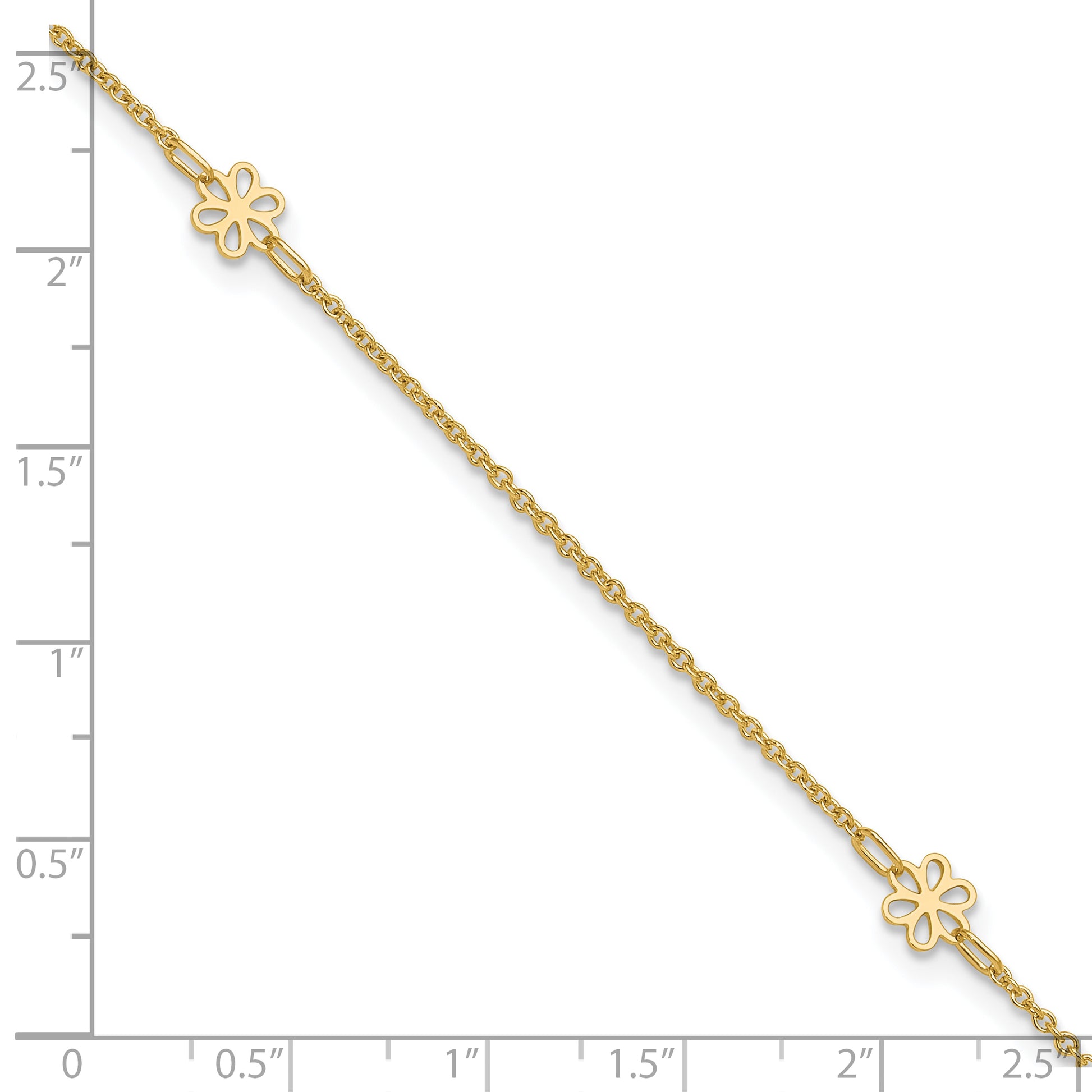 ANK306-10
