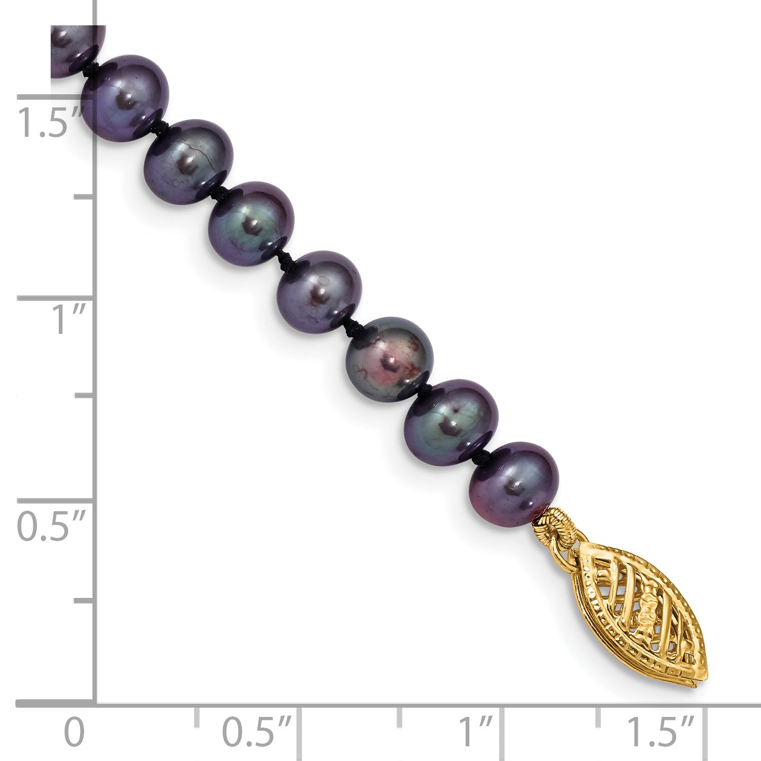 BPN050-7.5