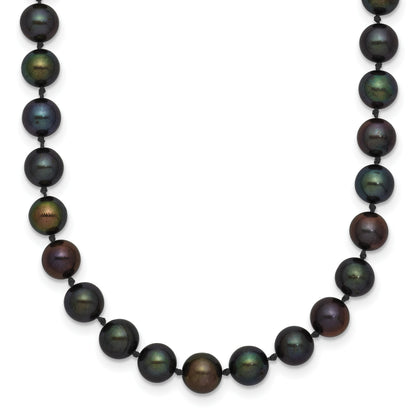 BPN050-16