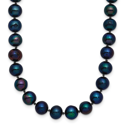 BPN060-20
