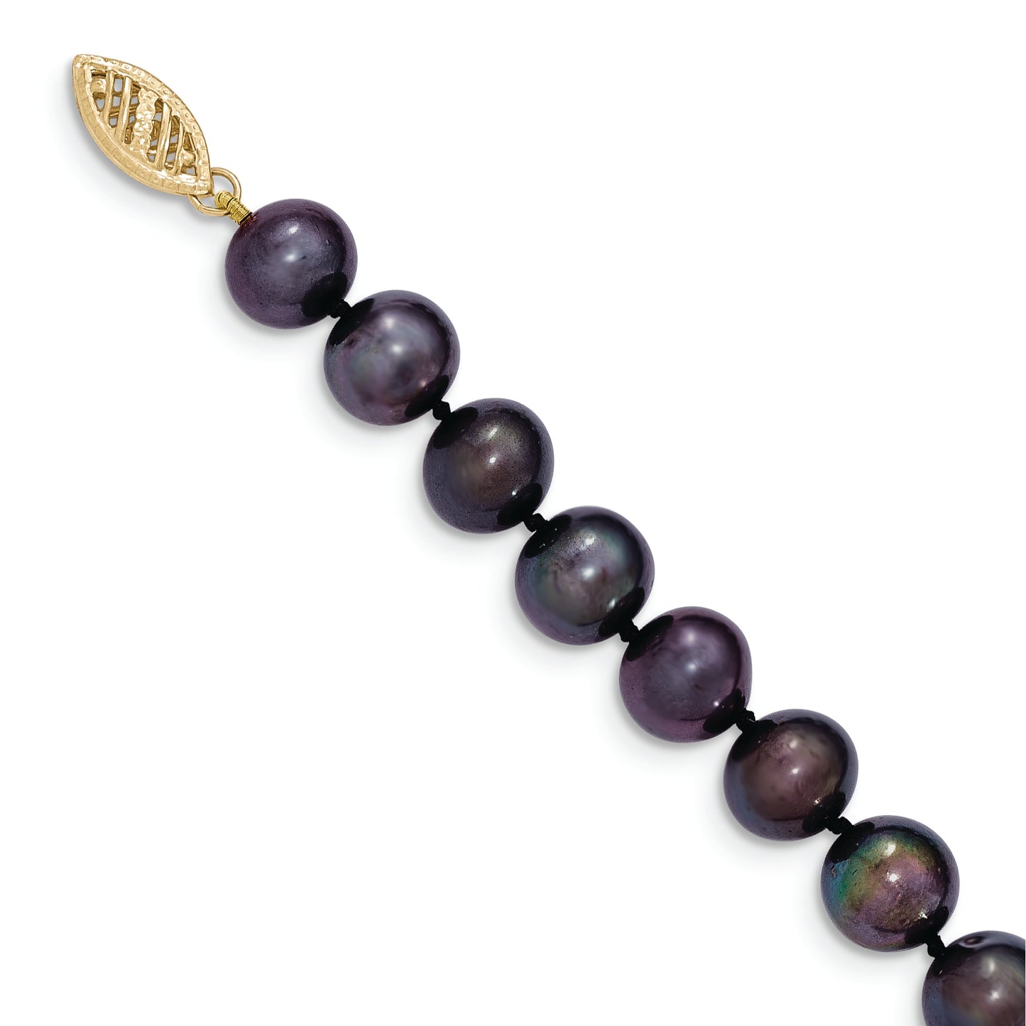 BPN080-20