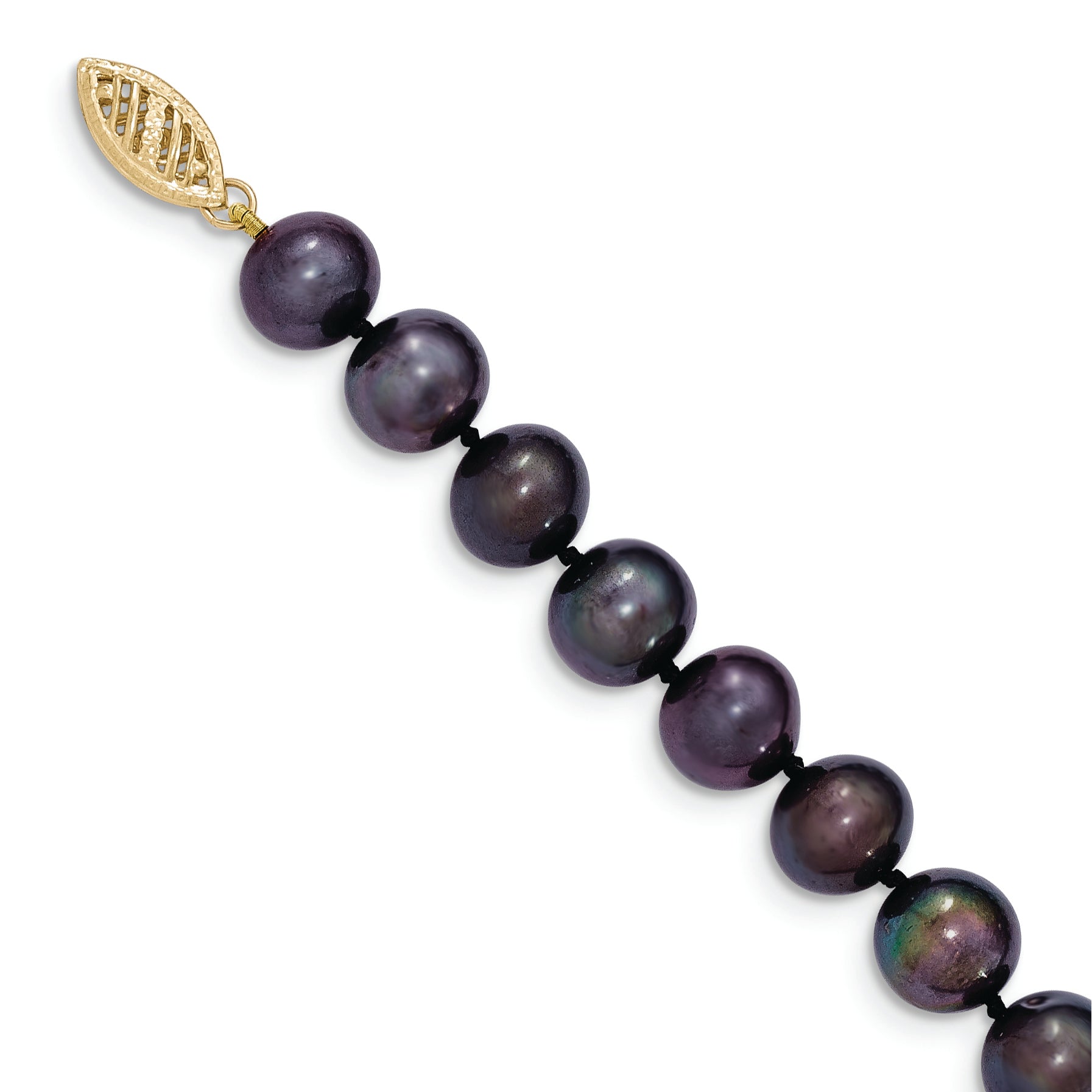BPN080-20