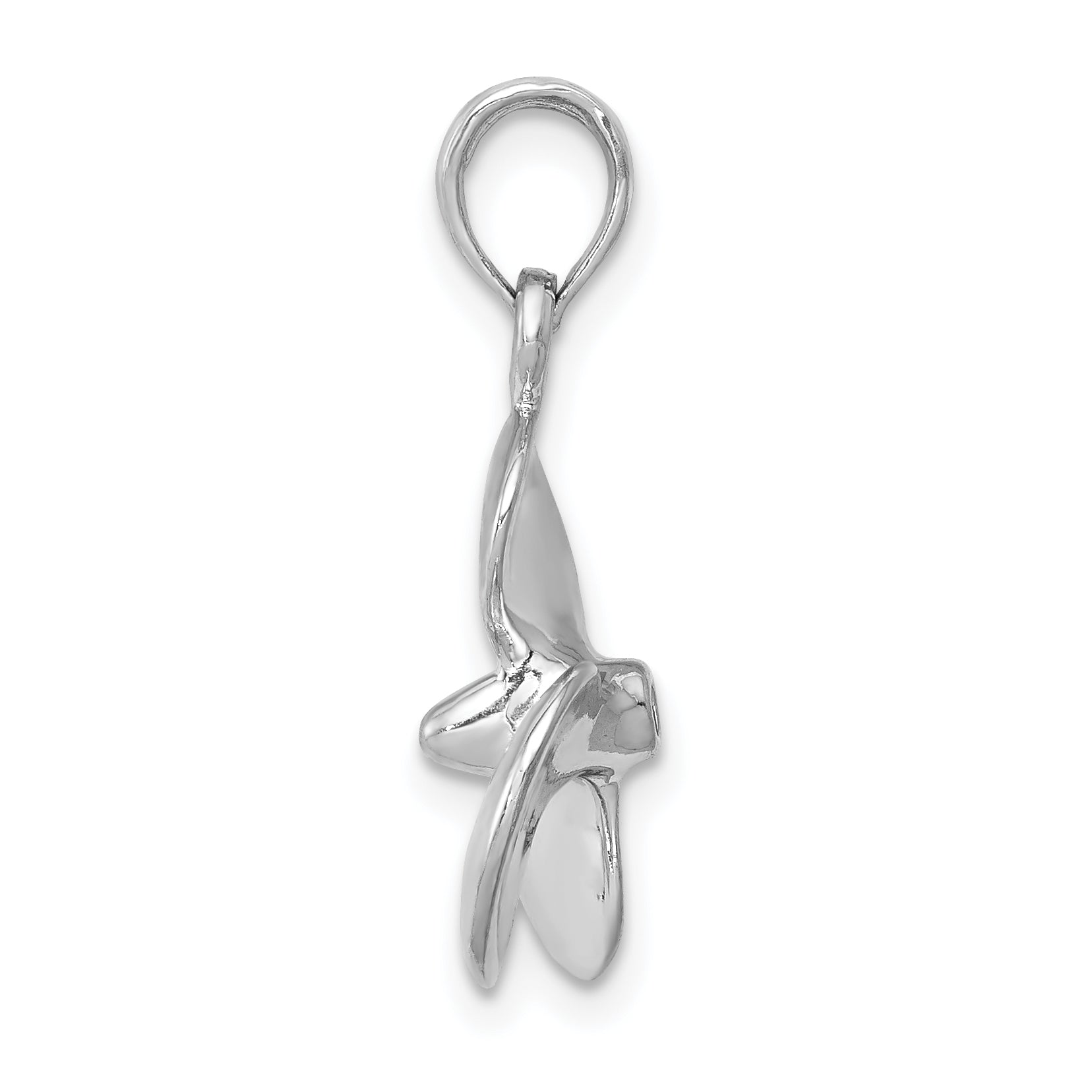 C2480W