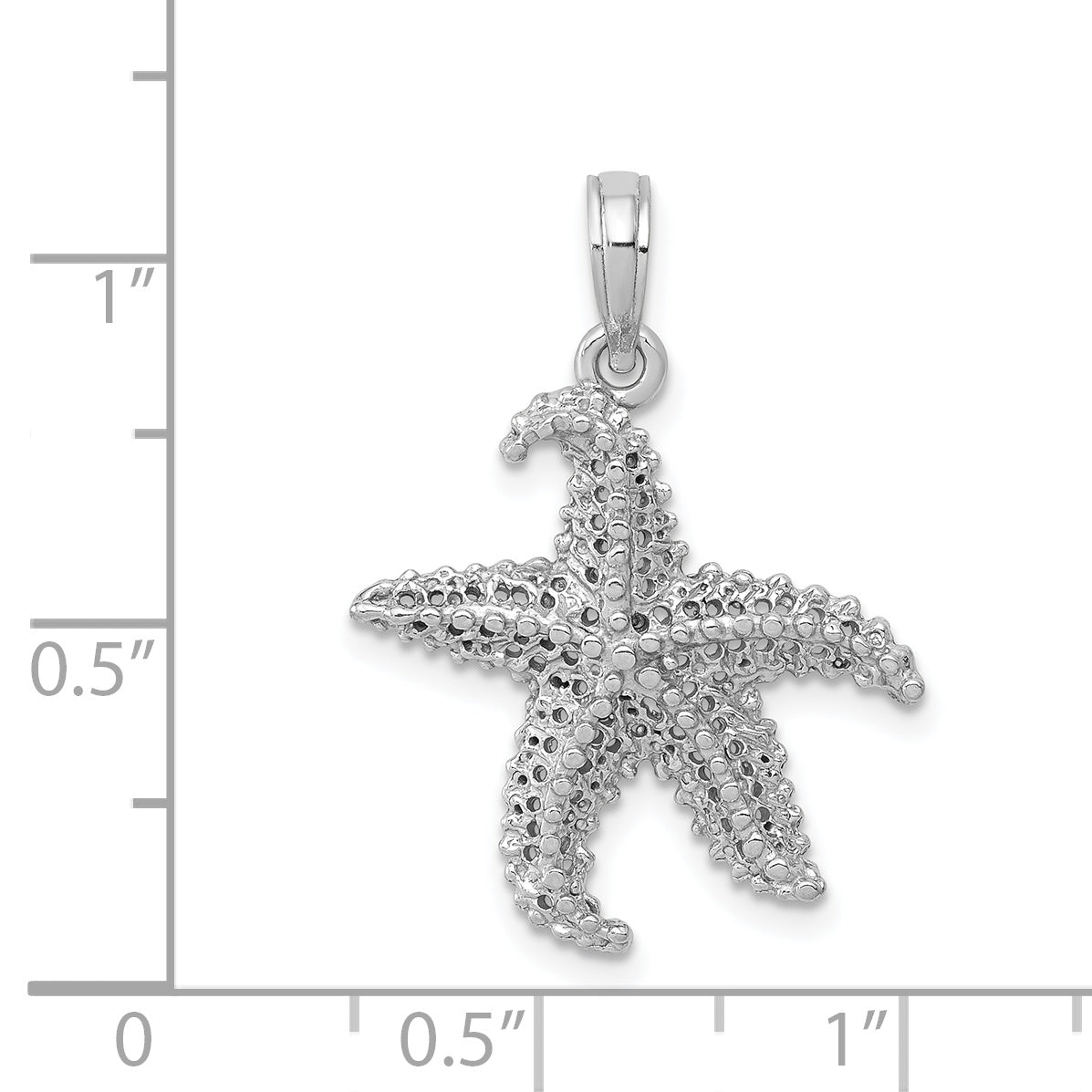 C2538W