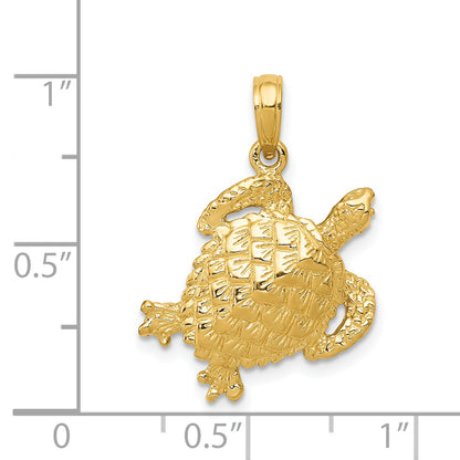 C2546