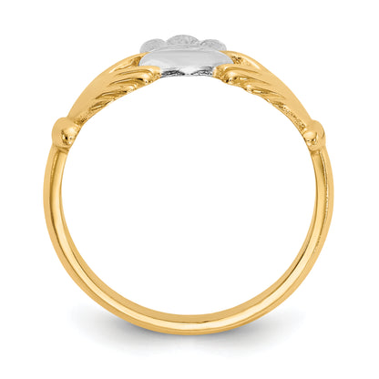 CH229