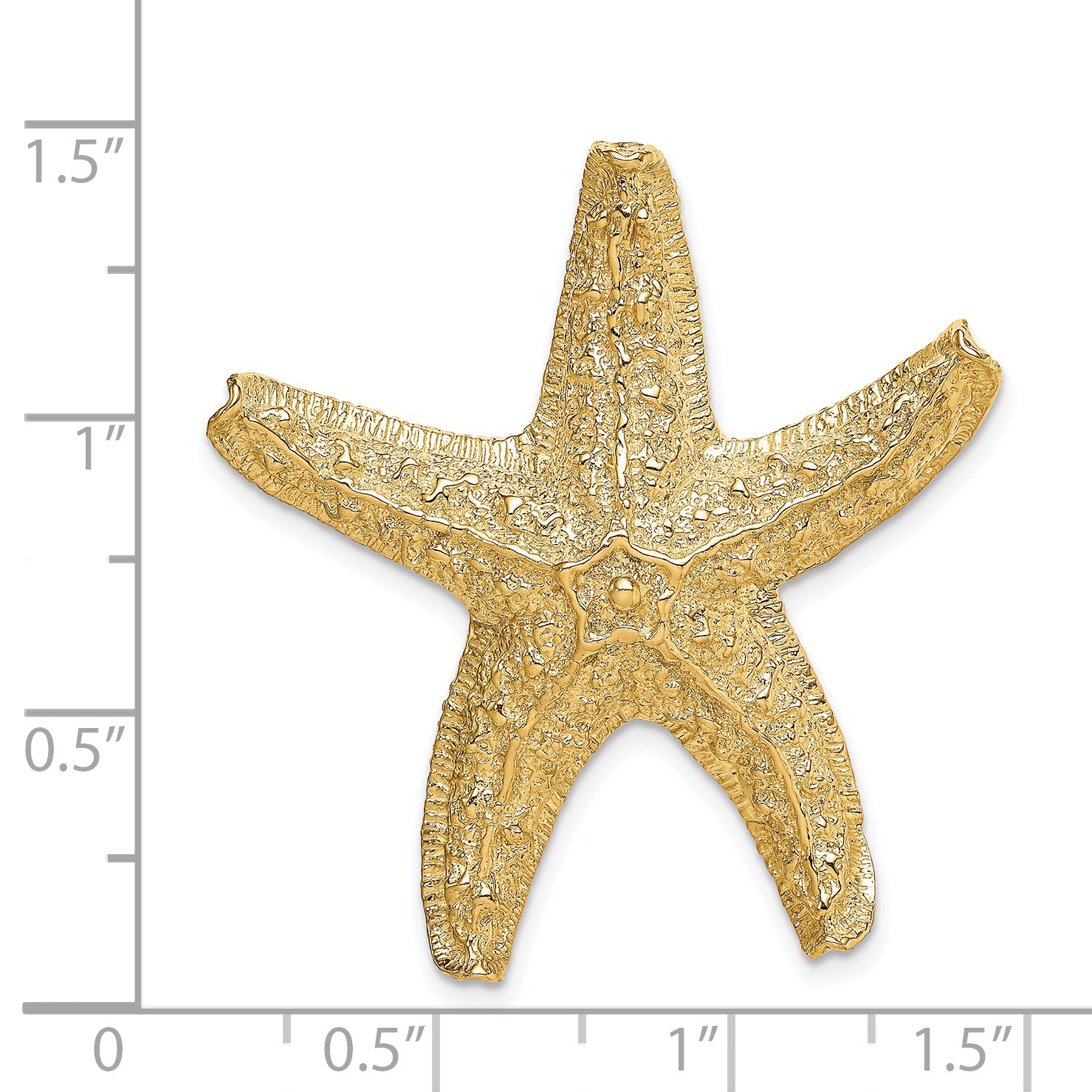 D2869