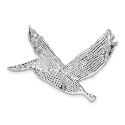 IP-007