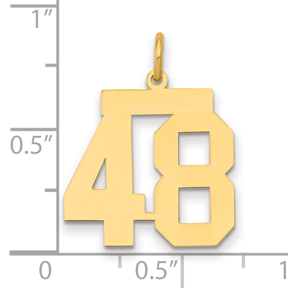LM48