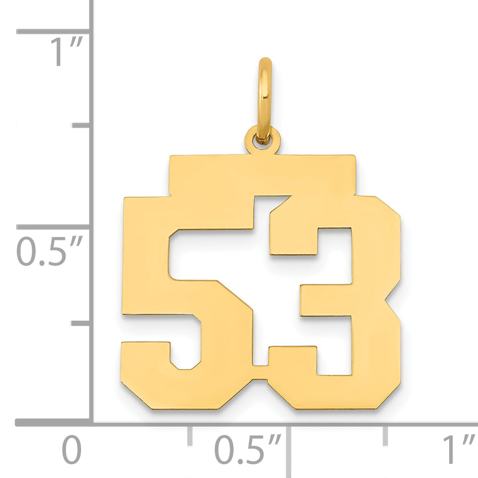 LM53
