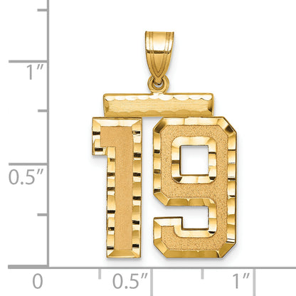 LN19