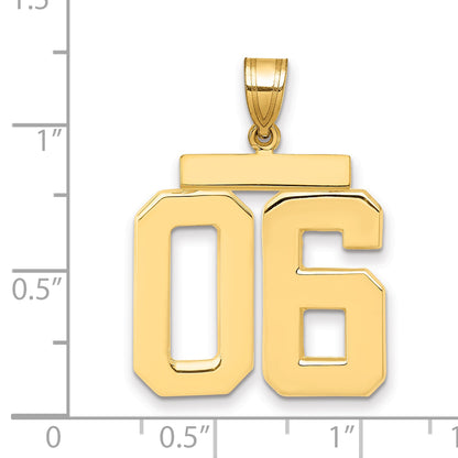 10LP06T