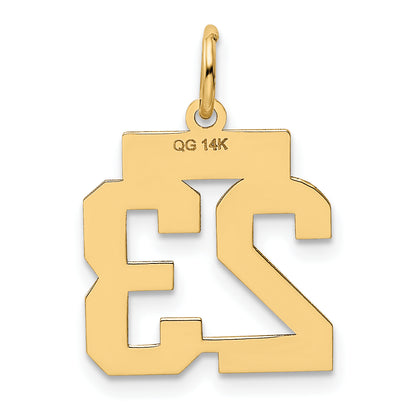 LS23