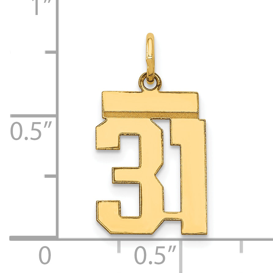 LS31