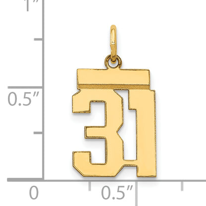 LS31