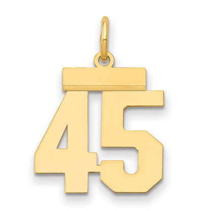 LS45
