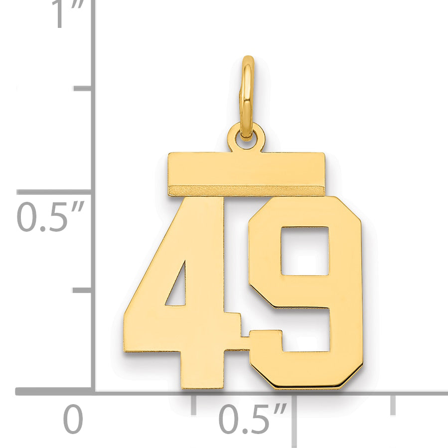 LS49