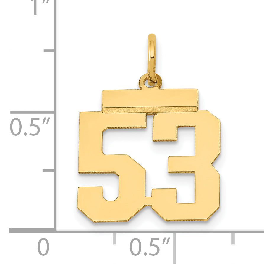 LS53