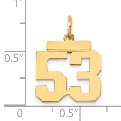 LS53