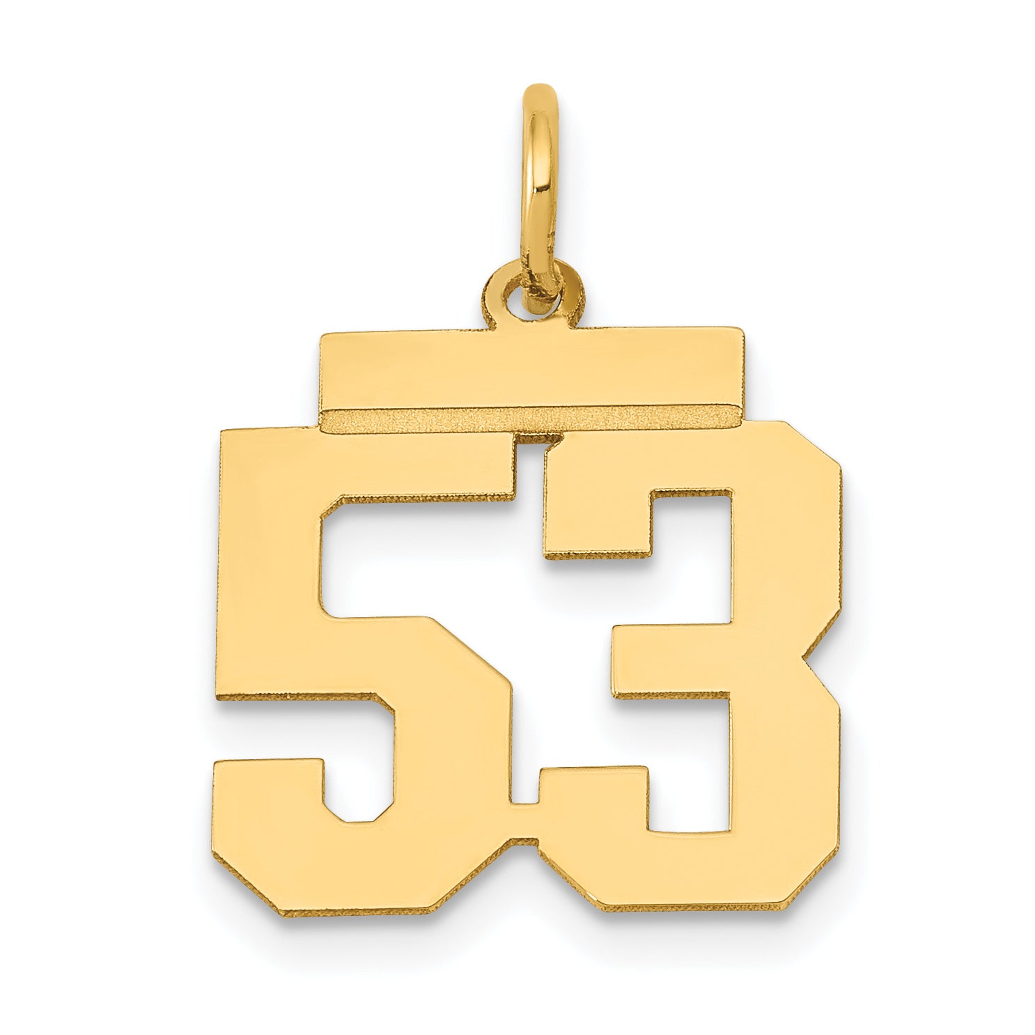 LS53