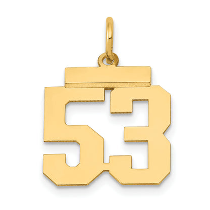 LS53