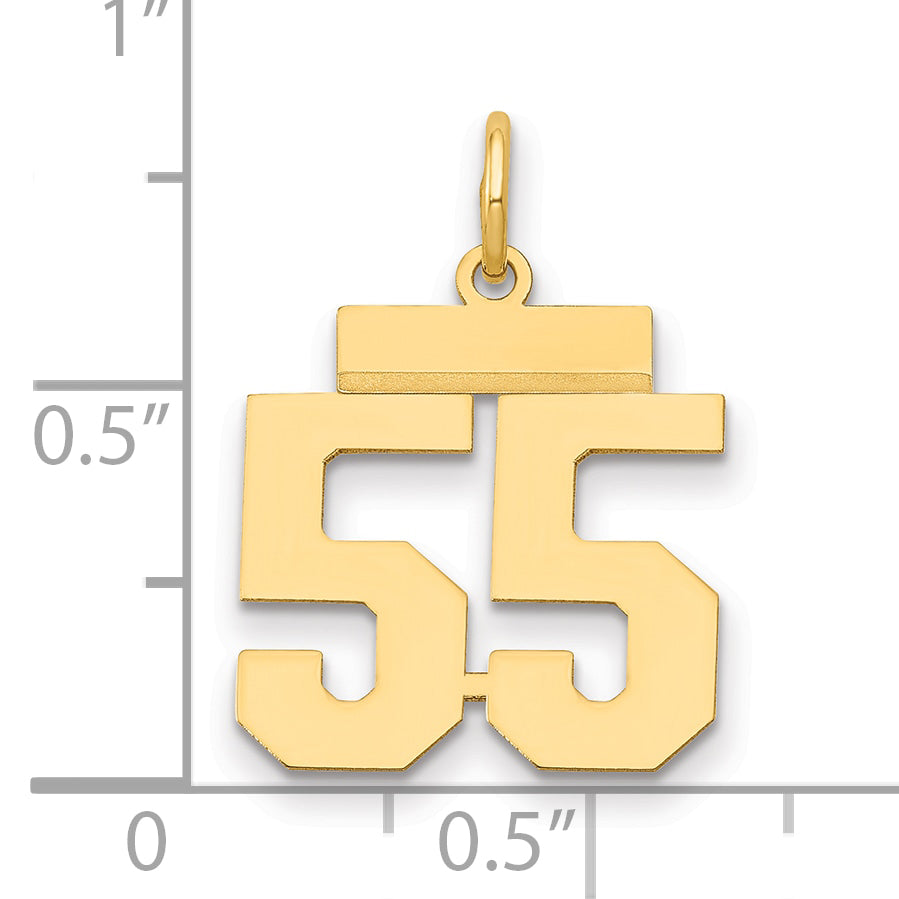 LS55