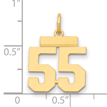 LS55