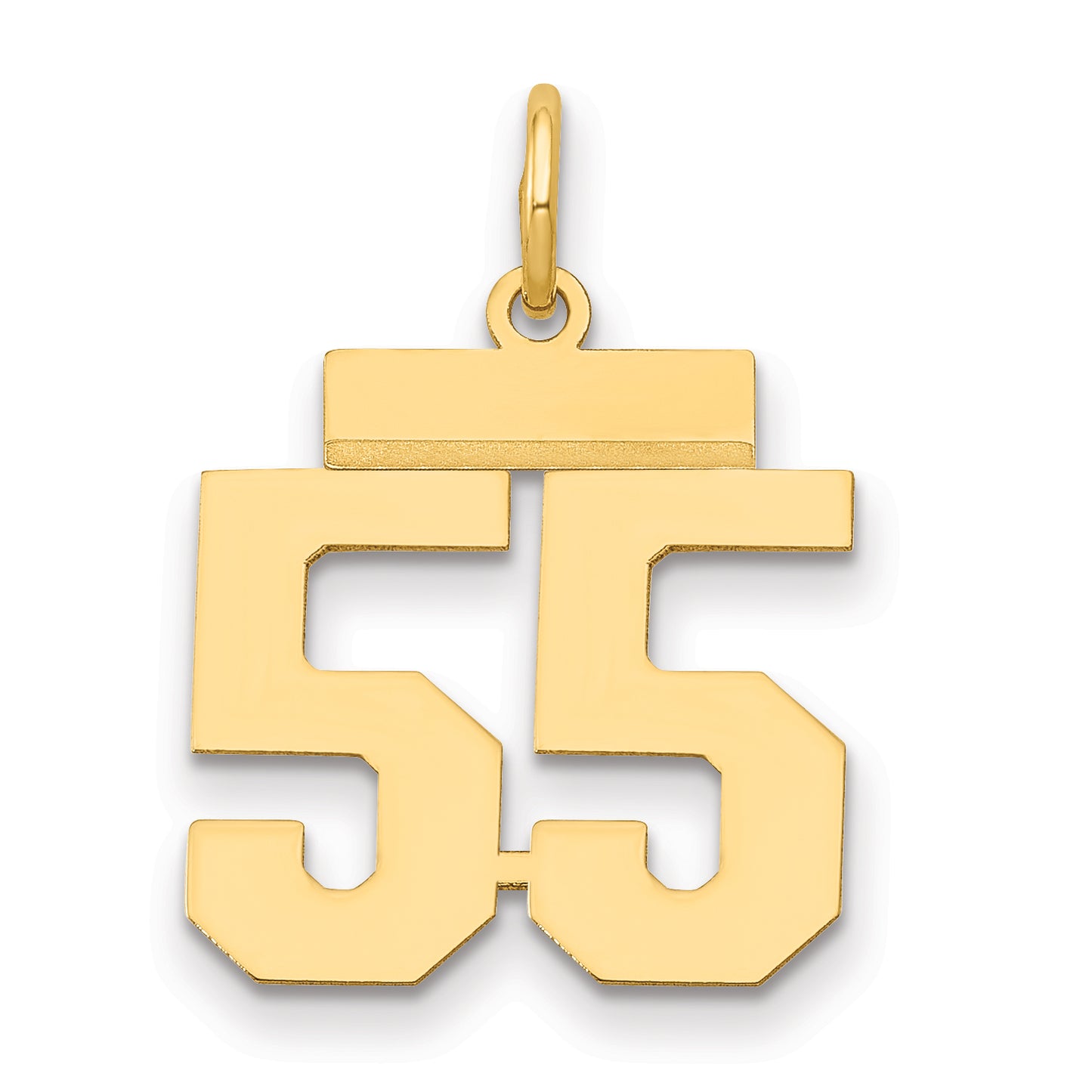 LS55