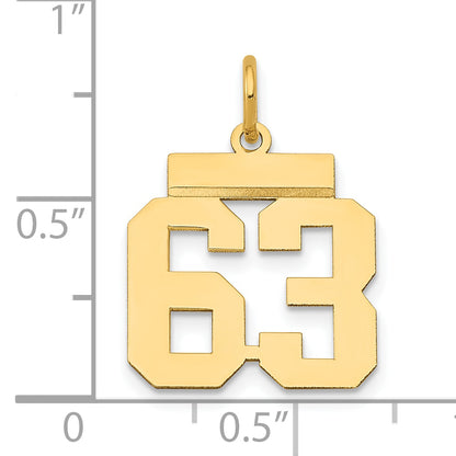 LS63