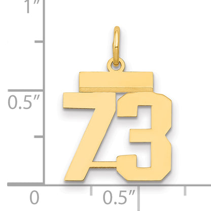 LS73
