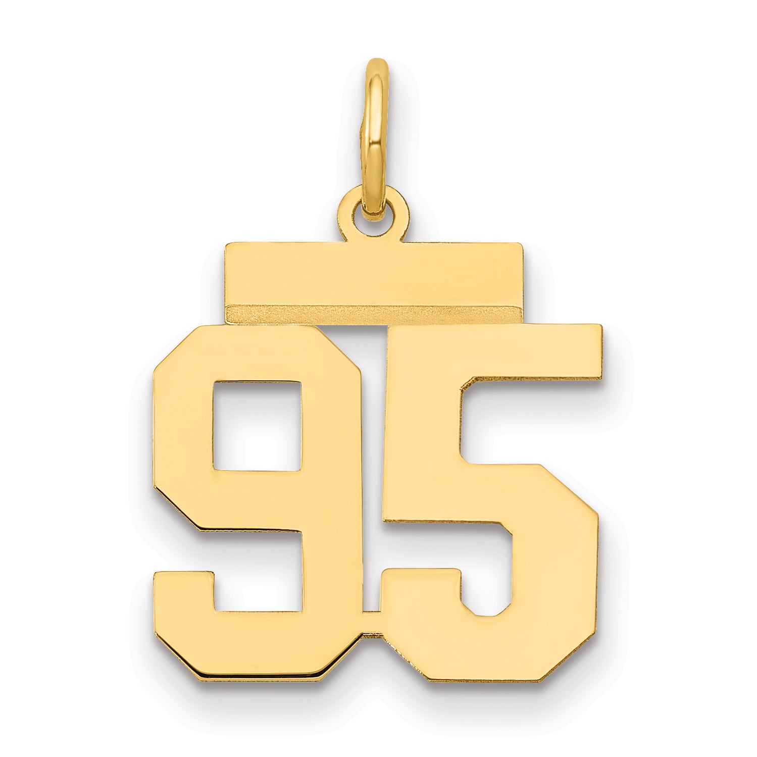 LS95