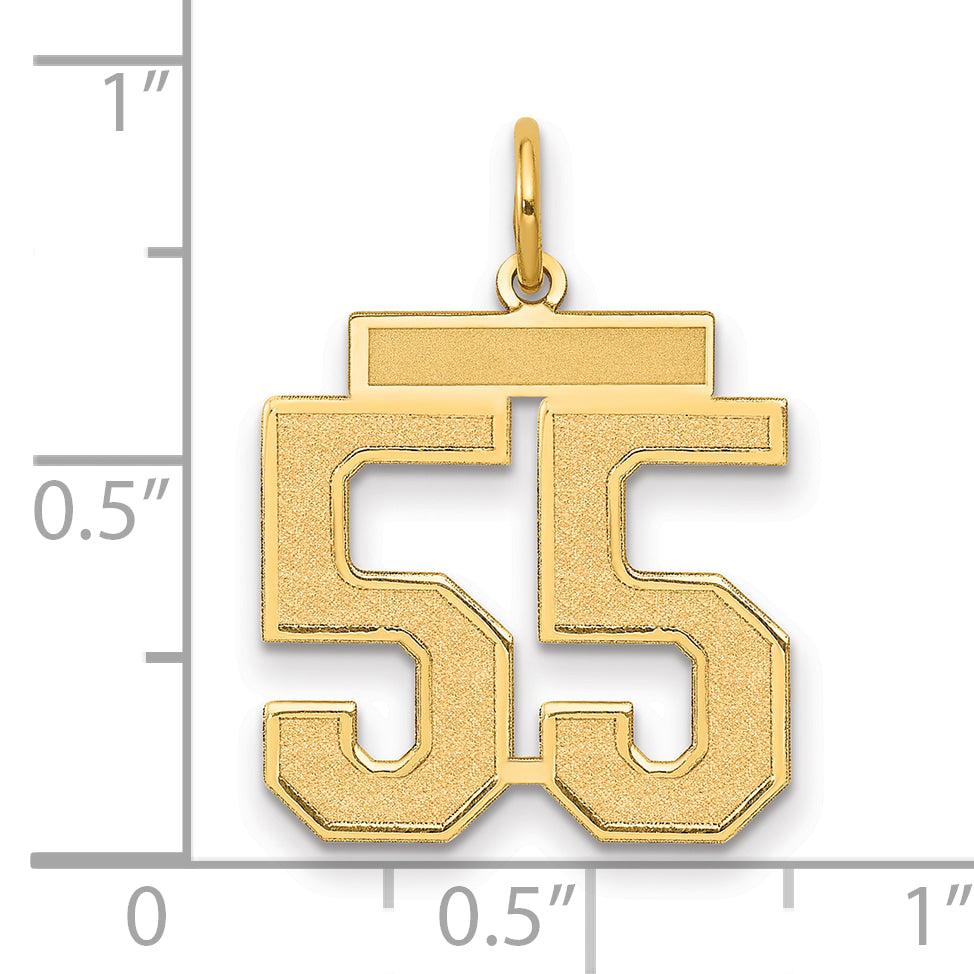 10LSM55