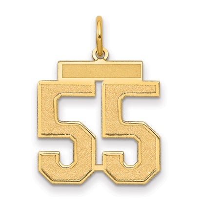 10LSM55