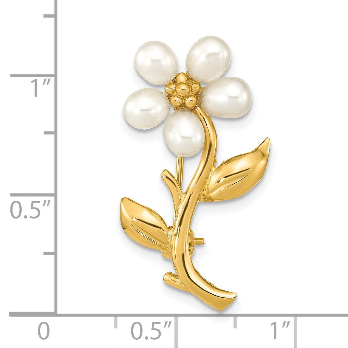 PIN181
