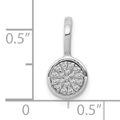 PM4743-009-1WA