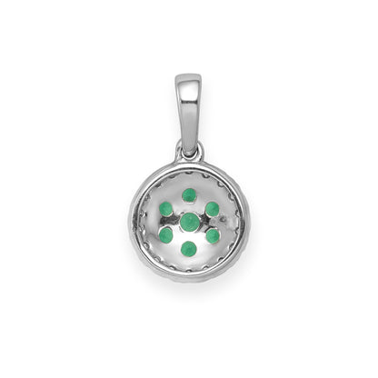 PM5255-EM-010-WA