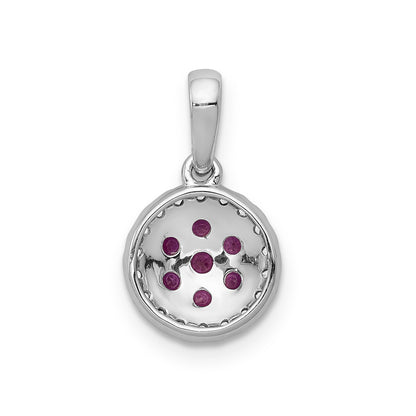 PM5255-RU-010-WA