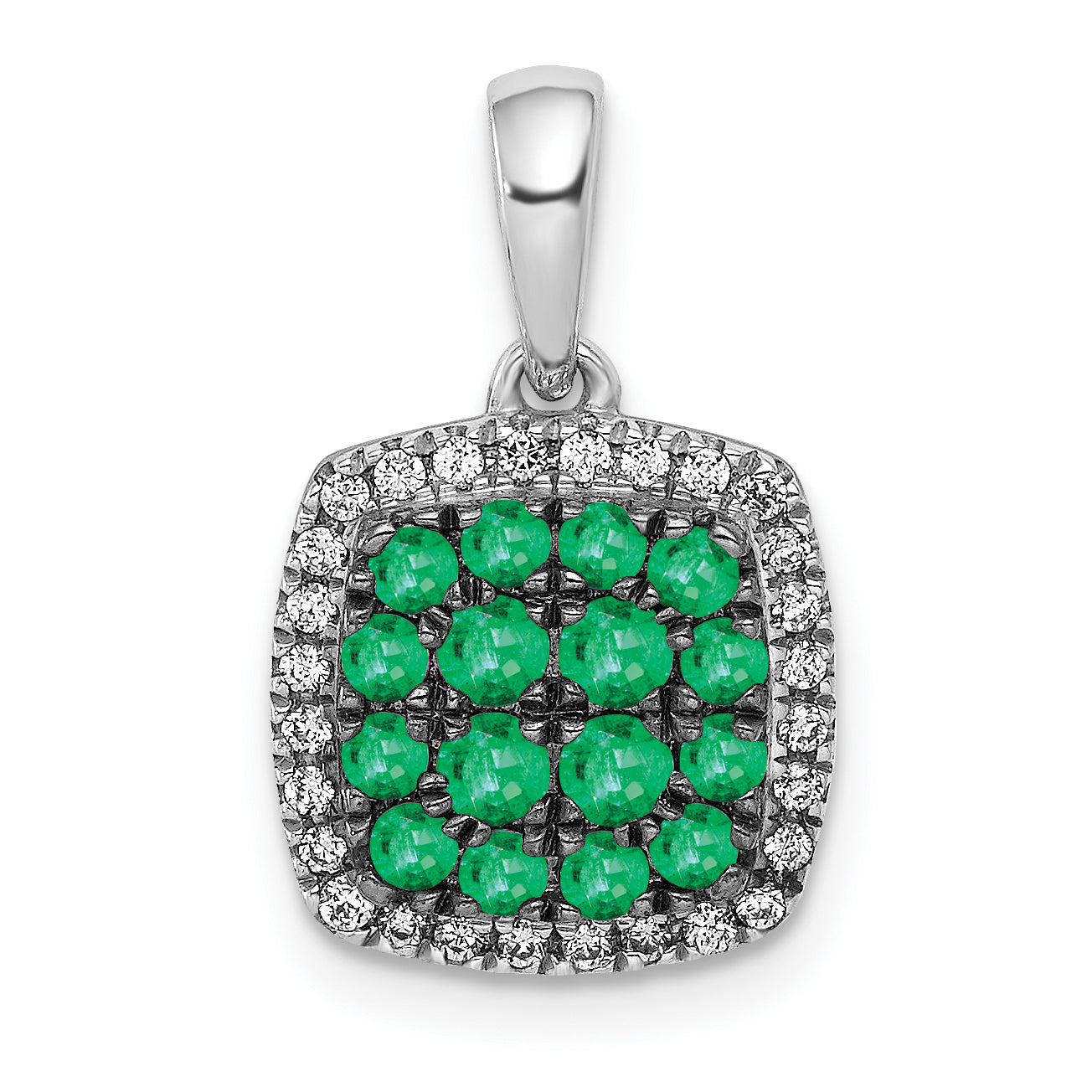 PM5259-EM-013-WA