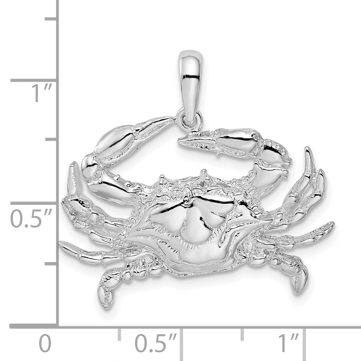 QC9981